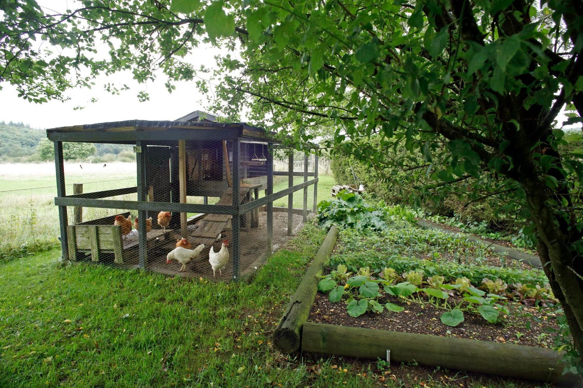 B&B Au Coq En Pate Jalhay Esterno foto
